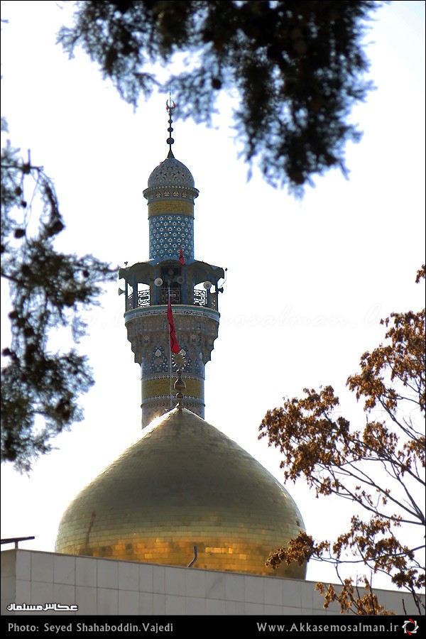 به بهانه میلاد حضرت زینب (س)/ گزارش تصویری