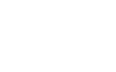 دو بال پرواز