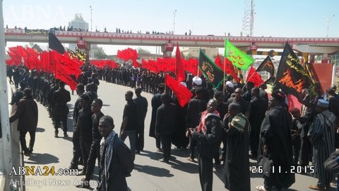 پیاده روی اربعین حسینی در مناطق مختلف کشور نیجریه/ گزارش تصویری