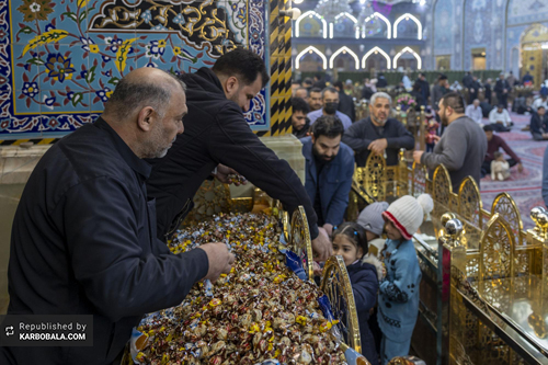 شادی زائران حسینی در سالروز مولود ابن الرضا (ع)